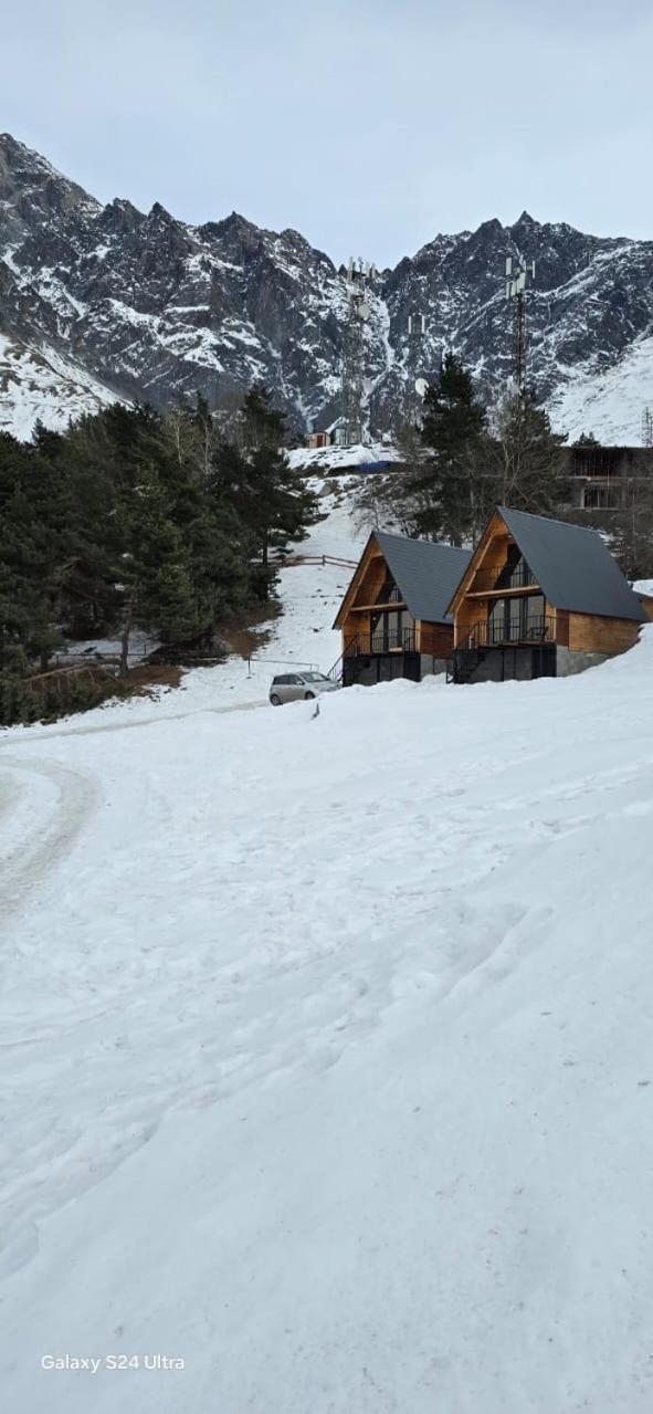 Cottage Paradise Kazbegi Εξωτερικό φωτογραφία