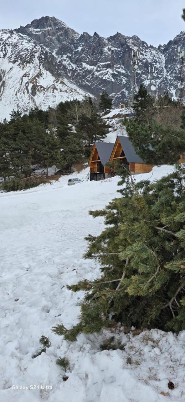 Cottage Paradise Kazbegi Εξωτερικό φωτογραφία